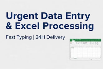 do urgent data entry , excel data processing , fast typing