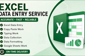 do excel data entry and typing work