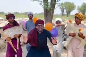 african happy birthday video african happy birthday video