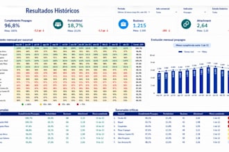 build business ready power bi reports for management and investors