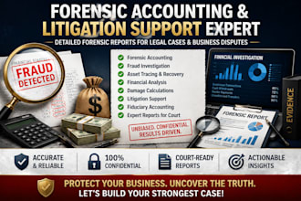 prepare forensic accounting reports for legal disputes and fraud cases
