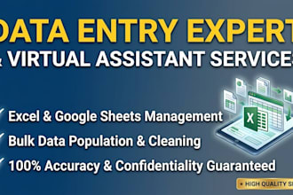 be your expert VA for data entry and excel spreadsheets