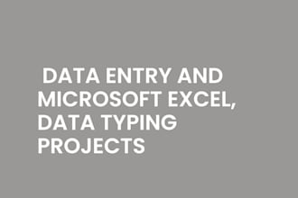make data entry and microsoft excel, data typing projects