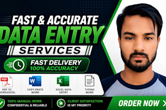 do accurate data entry, excel data entry and PDF conversion