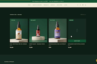 create a professional shopify store