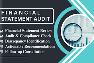 provide audit and financial statement review for san diego regional center
