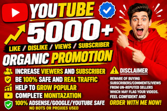 bring in fastest 5000 USA youtube views very high quality