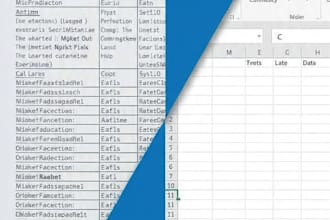 convert PDF to excel spreadsheet accurately in 24 hours