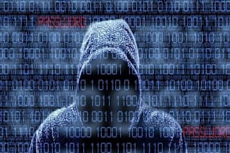 securely claim inactive usernames for twitter and instagram business username
