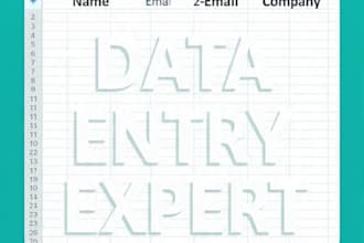 do fast and accurate data entry in excel within 2 hours