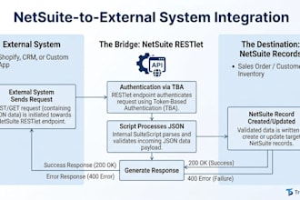 architect and develop custom netsuite API integrations