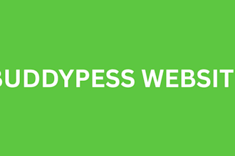 create a professional buddypress website