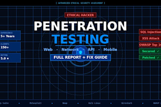 do professional penetration testing and security assessment