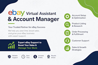 professional ebay seller support expert