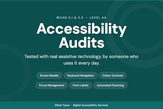 conduct a professional wcag accessibility audit of your website