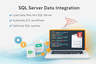 write efficient sql queries and handle sql server data integration