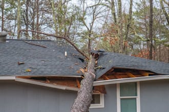 provide a professional building inspection review and report