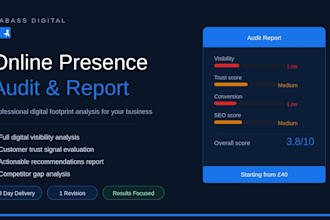provide a professional online presence audit and  report
