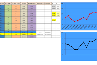 do healthcare data and excel sheet management