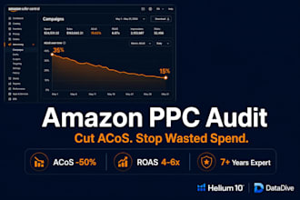 do a full amazon PPC audit and deliver an optimization action plan