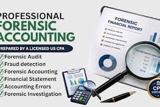 perform forensic accounting, fraud investigation and financial discrepancies