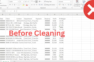 clean, format, and organize excel data professionally
