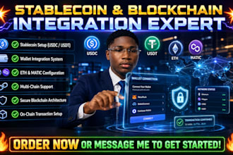 set up stablecoin wallet integration and blockchain asset systems