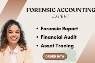 provide litigation support and forensic accounting services, financial audit