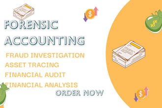 forensic accounting fraud investigation forensic audit