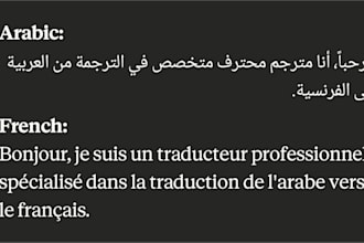 translate arabic documents to french with native accuracy
