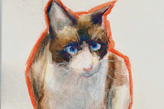 paint a portrait of your pet