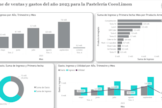 create a professional excel dashboard and KPI report