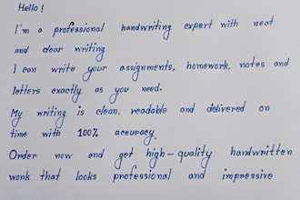 professional handwritten notes ,letters and assignments