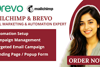 design mailchimp brevo email template newsletter campaign