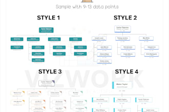 create a professional organizational chart for you