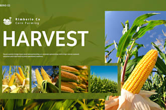 design a corn maze fall attraction summer prep pitch deck presentation