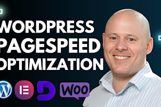 optimize elementor wordpress website speed improve page speed performance insigh