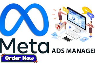 face book ads, conversions, shopify, face book advertising