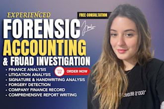 provide forensic accounting, fraud investigation with forensic company report