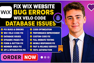 fix wix website bugs errors wix velo code database issues