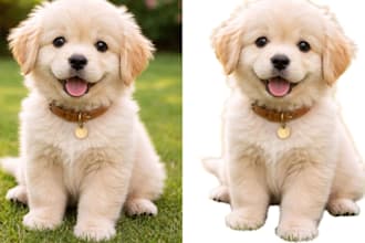 remove background from images professionally