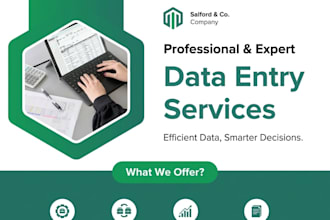 do data entry, data collecting, and data scraping