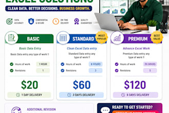 provide professional data entry and excel services