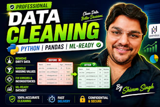do professional data cleaning and preprocessing using python and pandas