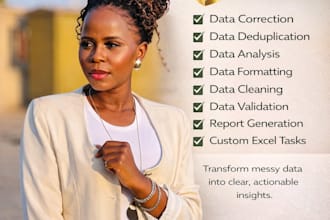 provide excel services for all data needs