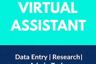 be your professional virtual assistant VA