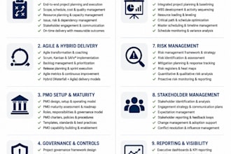 provide project management and pmo governance support
