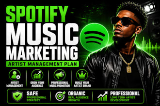 create a professional spotify music marketing strategy and artist management