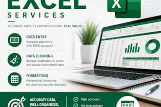 clean, organize and formatting your excel in 24h