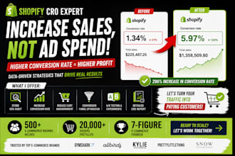 audit shopify store do shopify cro shopify site review shopify store optimzation